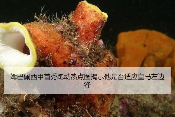 姆巴佩西甲首秀跑动热点图揭示他是否适应皇马左边锋